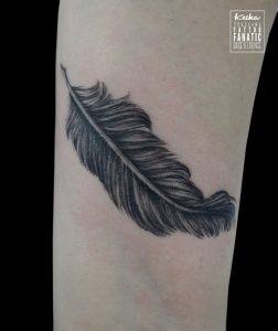 feather　羽根