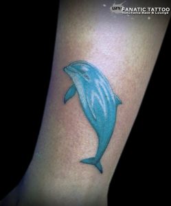 イルカ dolphin
