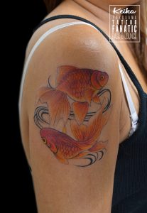 金魚 goldfish
