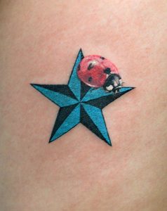 nortical star ladybird　ノーティカルスター　てんとう虫